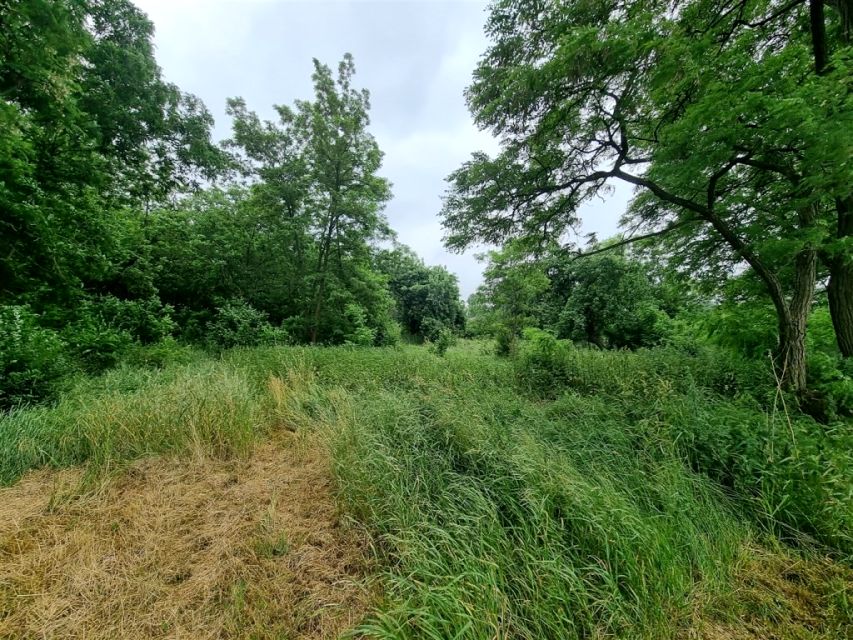 Działka inwestycyjna Gąbin