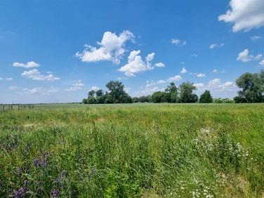 Działka budowlana Radzanowo