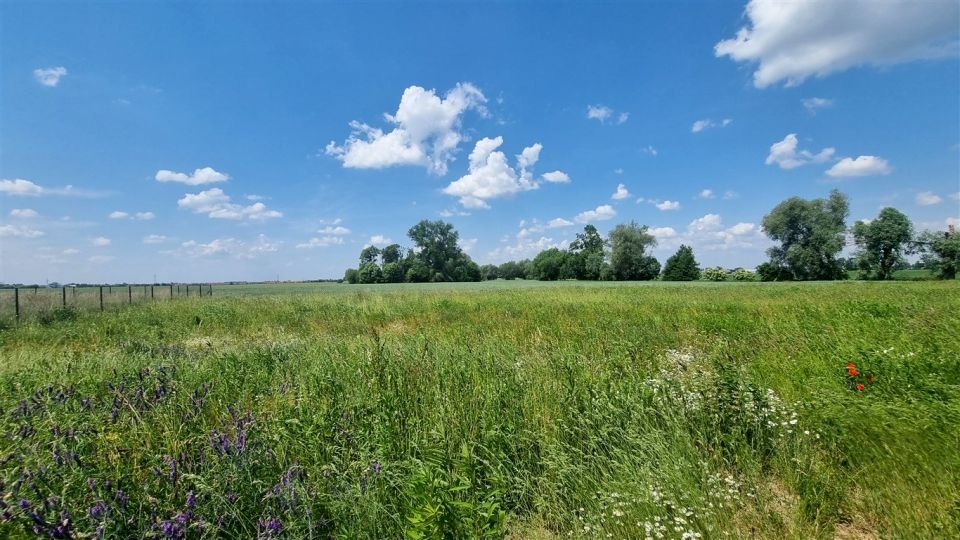 Działka budowlana Radzanowo