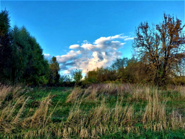 Działka budowlana Szudziałowo