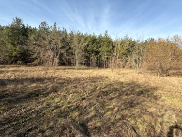 Działka budowlana Wyszków