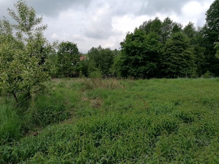 Działka rekreacyjna Orzesze