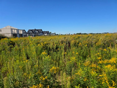 Działka budowlana Płock