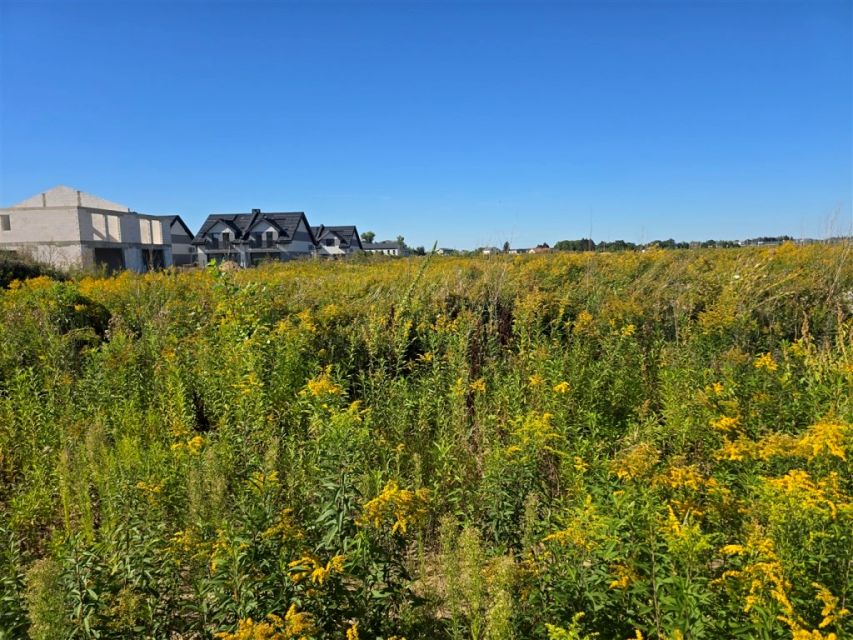 Działka budowlana Płock