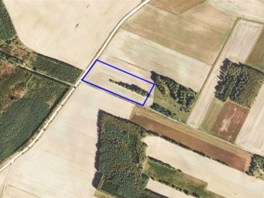 Działka rolna Szudziałowo
