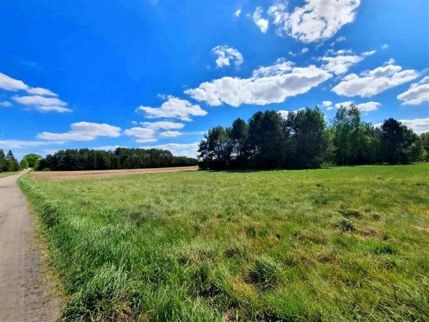 Działka rolna Turośń Kościelna