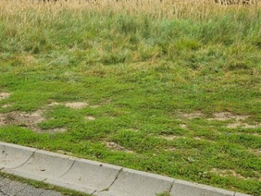 Działka budowlana Rybnik