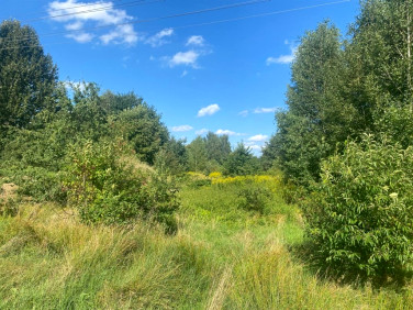 Działka budowlana Żory