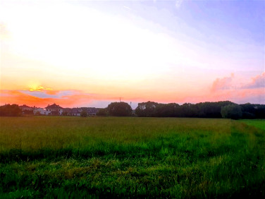 Działka budowlana Łapy