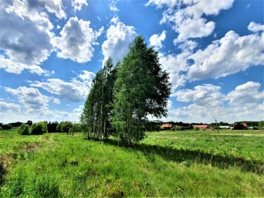 Działka budowlana Turośń Kościelna