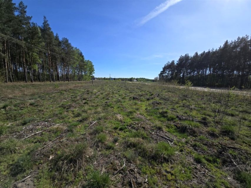 Działka budowlana Słubice