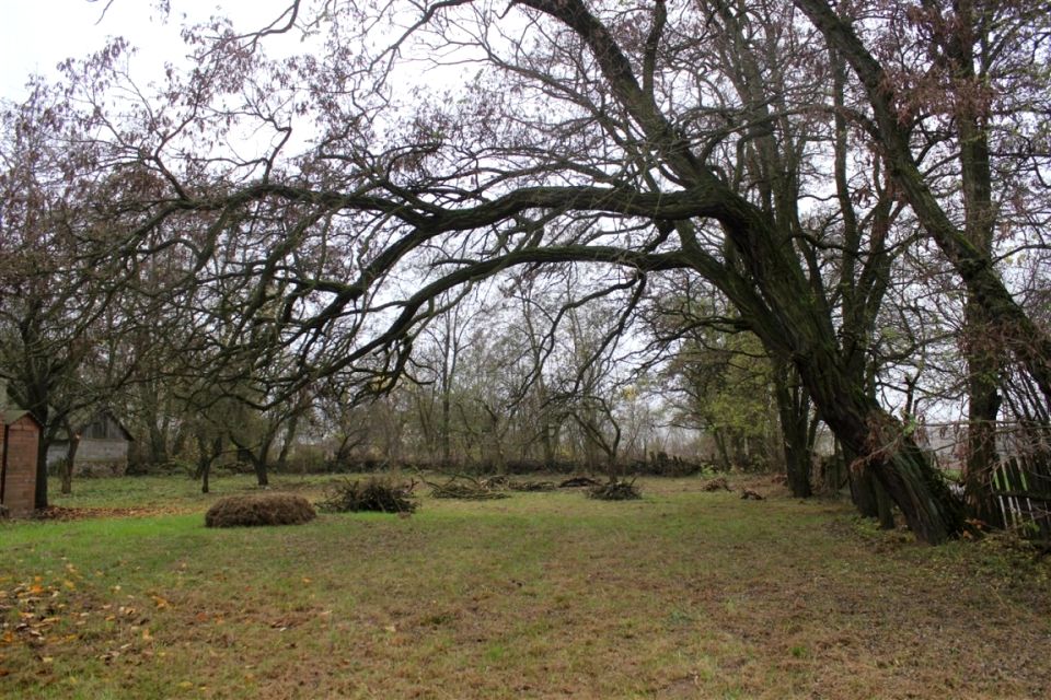 Działka inwestycyjna Gąbin