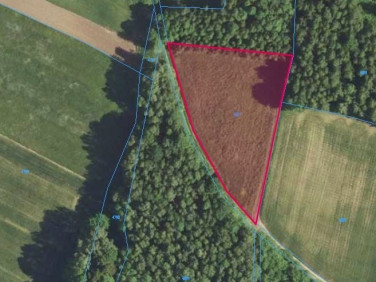 Działka rolna Wielopole Skrzyńskie