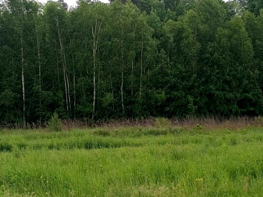 Działka budowlana Grodzisko Dolne