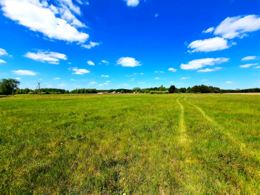 Działka rolna Turośń Kościelna