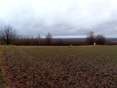 Działka rekreacyjna sprzedam