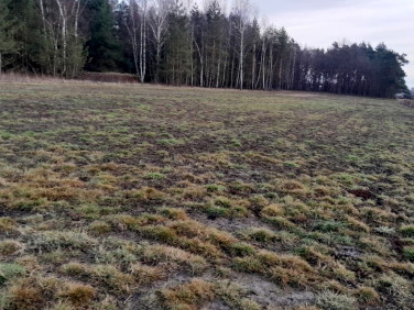 Działka rolna Rakszawa