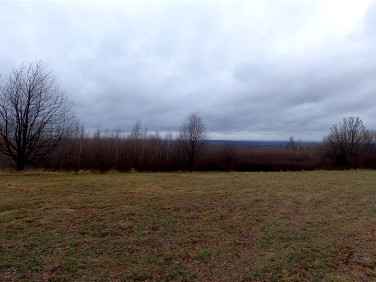 Działka rekreacyjna Dynów sprzedam