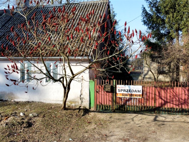 Działka budowlana Dąbrowice