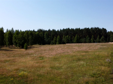 Działka budowlana Szudziałowo