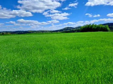 Działka budowlana Wielopole Skrzyńskie