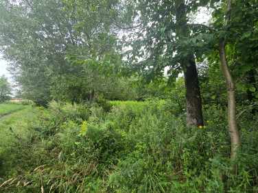 Działka Brudzeń Duży