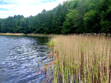 Działka budowlana Sejny sprzedam