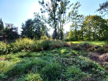 Działka budowlana Pszczyna