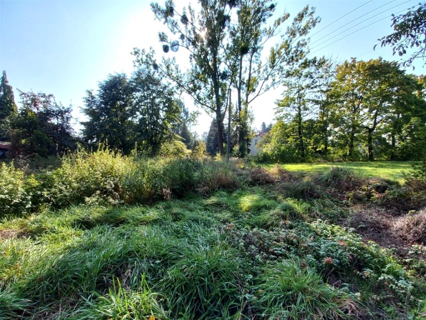 Działka budowlana Pszczyna