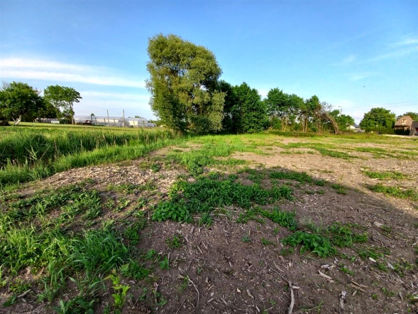 Działka budowlana Suszec