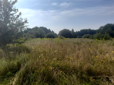 Działka budowlana Wasilków