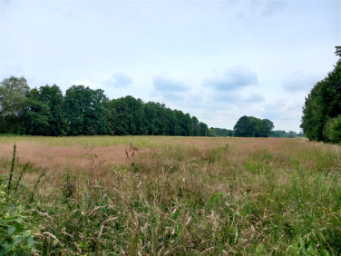 Działka budowlana Chybie