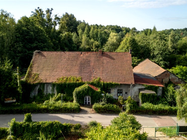 Działka leśna Rybnik