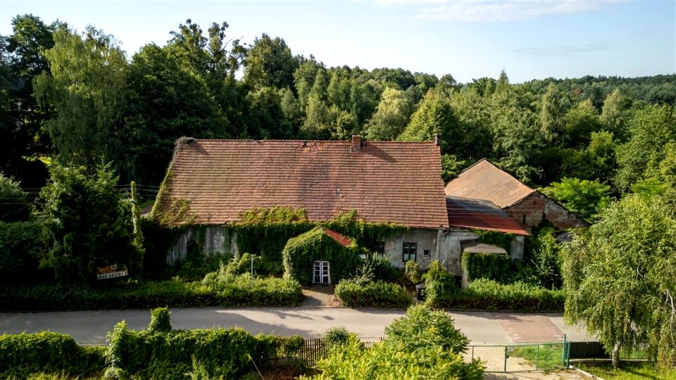 Działka leśna Rybnik