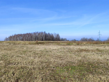 Działka budowlana Chmielnik