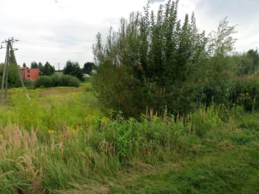 Działka budowlana Rybnik