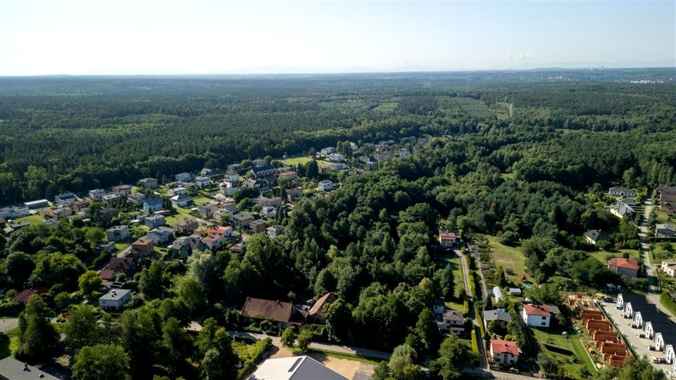 Działka leśna Rybnik