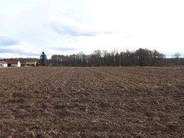 Działka rolna Pawłowice