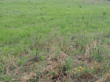 Działka budowlana Rzeszów