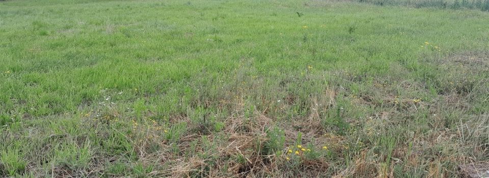 Działka budowlana Rzeszów