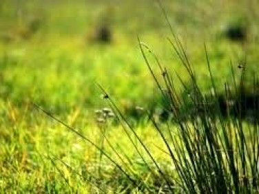 Działka budowlana Rybnik sprzedam