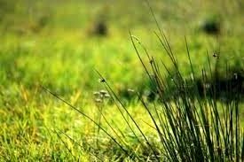 Działka budowlana Rybnik sprzedam