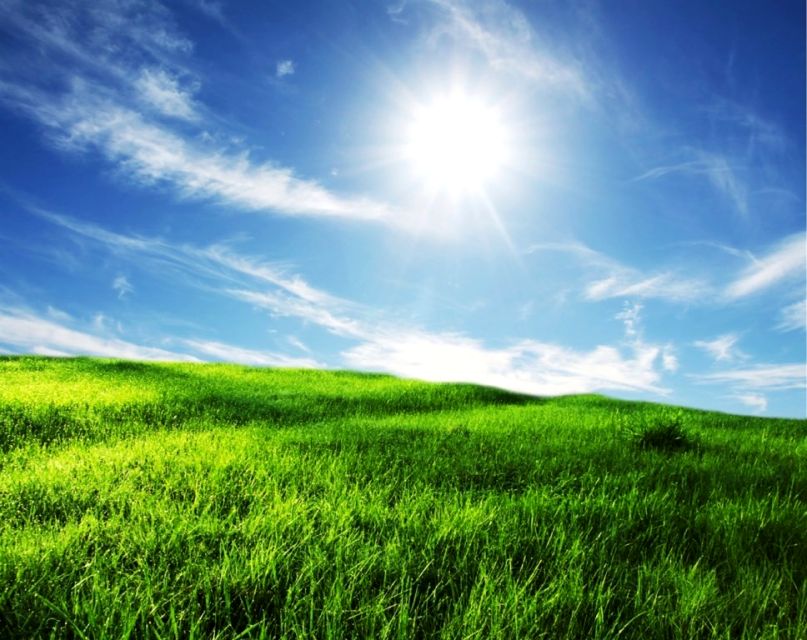 Działka budowlana Rybnik