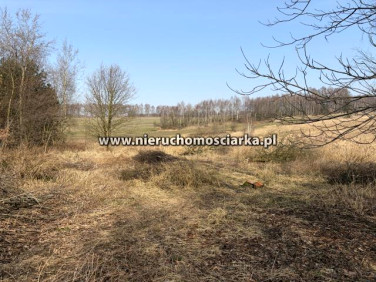 Działka Wodzisław Śląski