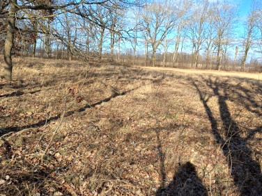 Działka budowlana Rzedziny