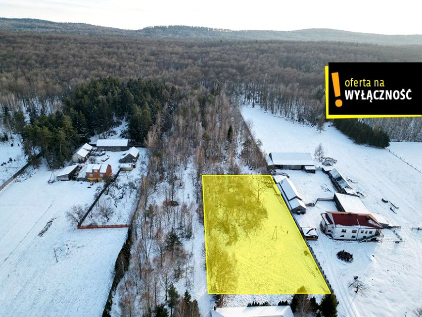 Działka inna Lechów