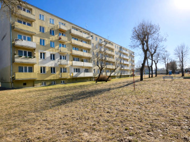 Mieszkanie Kruszwica