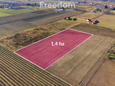 Działka siedliskowa Prażmów sprzedam