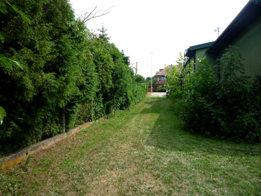 Działka usługowa Kutno