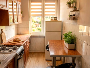 Mieszkanie Kruszwica